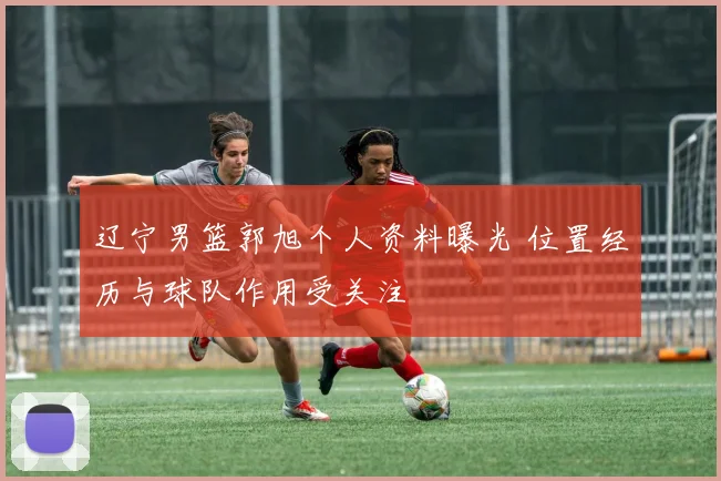 辽宁男篮郭旭个人资料曝光 位置经历与球队作用受关注