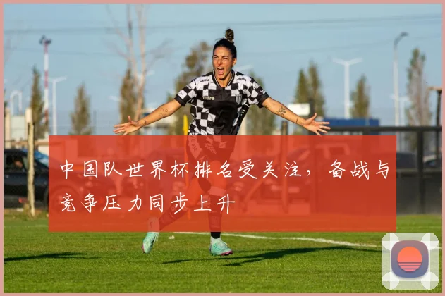 中国队世界杯排名受关注，备战与竞争压力同步上升